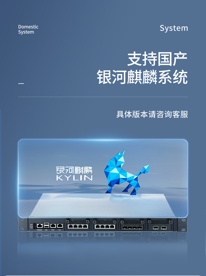 飞腾国产化塔洋镇工控机,国产化系统,DT-12420-SD2000.jpg
